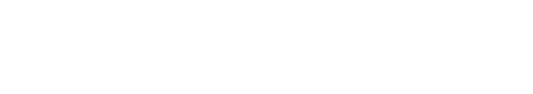 共に未来を進む世界のITソリューションズ